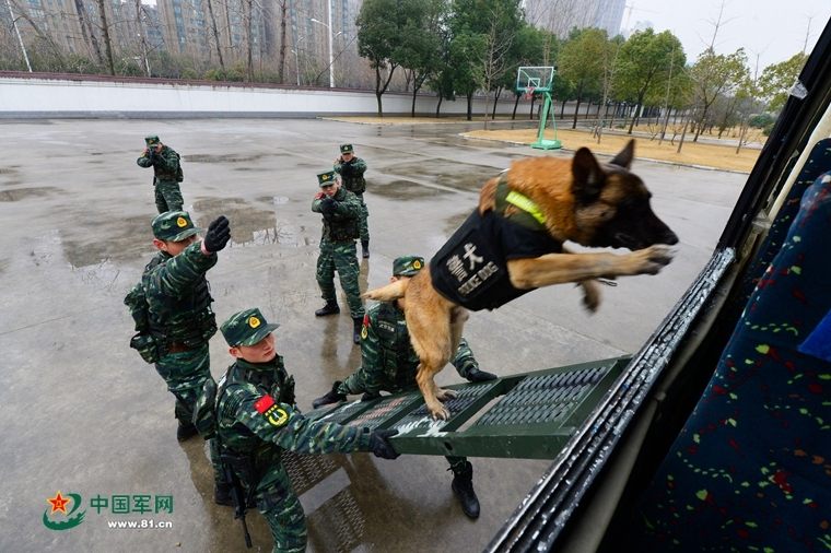 北京不锈钢管批发市场,计谋解答解释落实